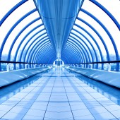 Etiam commodo convallis